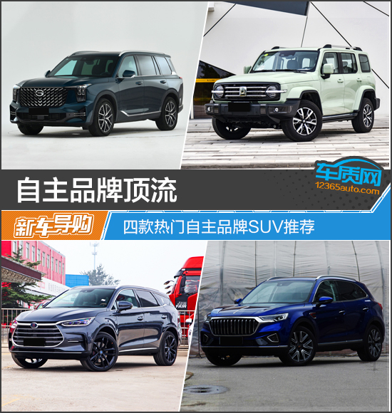 SUV，自主品牌，比亚迪，坦克300，自主suv,坦克300，广汽传祺GS8，比亚迪唐新能源，红旗HS5