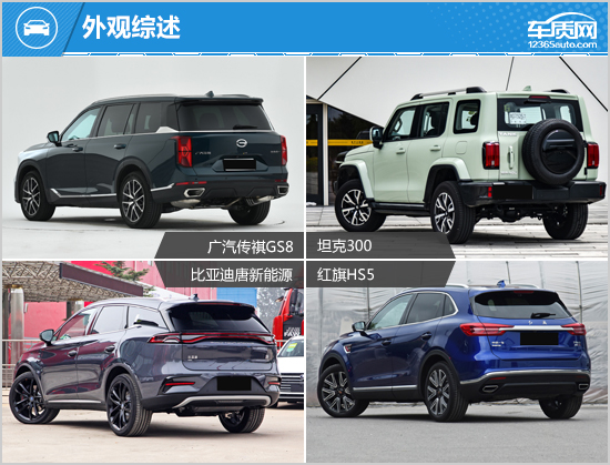 SUV，自主品牌，比亚迪，坦克300，自主suv,坦克300，广汽传祺GS8，比亚迪唐新能源，红旗HS5