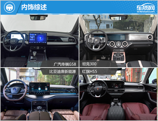 SUV，自主品牌，比亚迪，坦克300，自主suv,坦克300，广汽传祺GS8，比亚迪唐新能源，红旗HS5