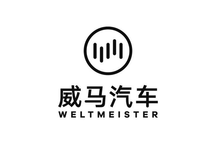 威马冲击港股IPO，沈晖夫妇持股 30.82%